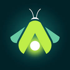 Mission Kids Advocacy Center's logo featuring a green firefly.