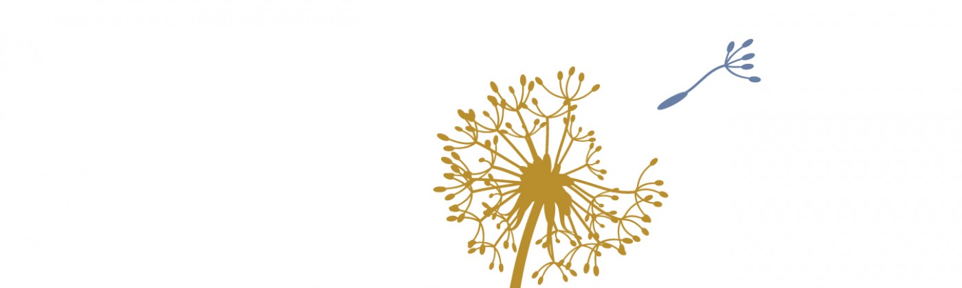 Graphic logo of a dandelion seed head and one seed flying off with the words "HealthSpark Foundation" on the bottom.