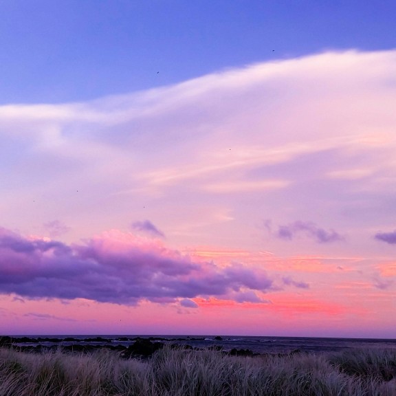 A purple lavender hazy sky and a field of lavender flowers.