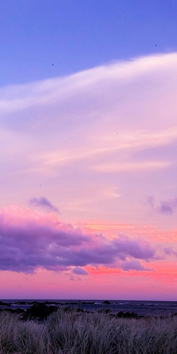 A picture of a dusky purple-pink sky and lavender fields.