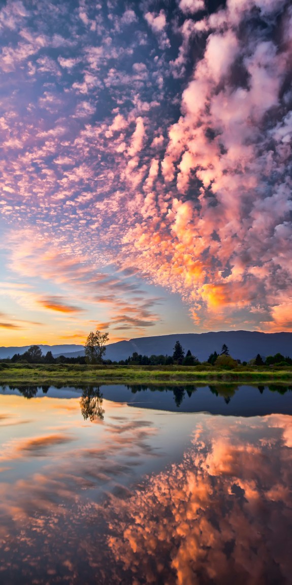 Pink clouds, a hill, trees, by a lake - all reflecting on the water.