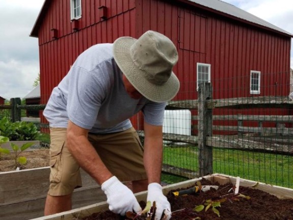 A gardener wearing a hat and gloves bends down to plant seedlings in a raised bed. A fence and red barn are in the background.