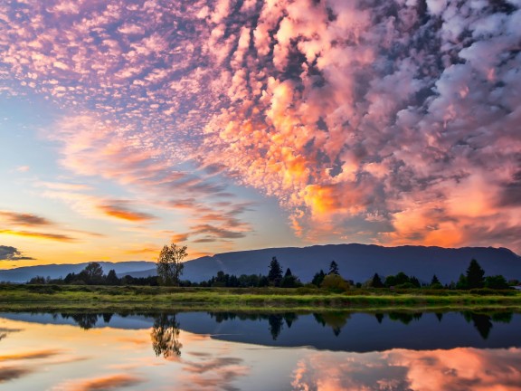 A picture of a purple pink clouds over a lakeside, with the reflection of the clouds in the water.