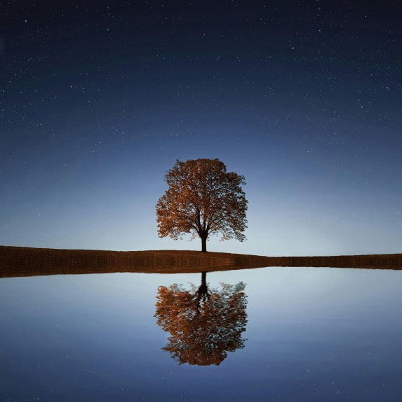 A lone tree amidst a nightfall sky, by a small body of water. The water reflects the tree.