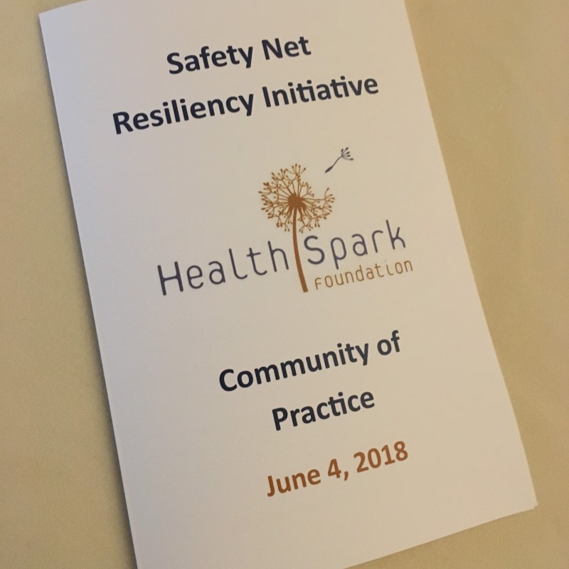 Safety Net Resiliency Initiative program cover