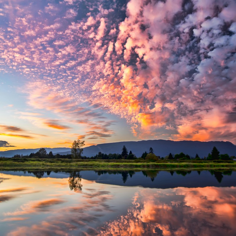 A picture of a purple pink clouds over a lakeside, with the reflection of the clouds in the water.