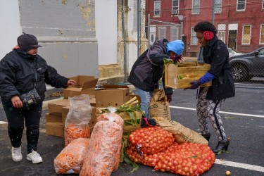 Three people sifting through fresh produce in a parking lot.