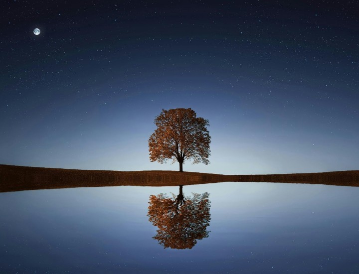 A lone tree amidst a nightfall sky, by a small body of water. The water reflects the tree.